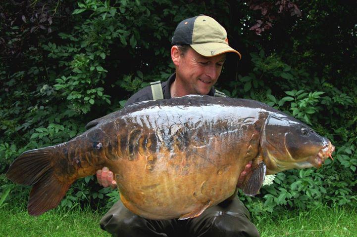 diverse adunate 2 - 538195550760718281320702867949n.jpg